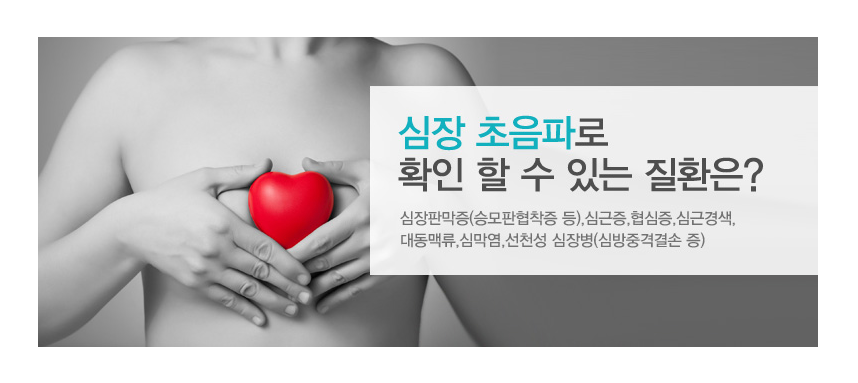 스크린샷 2026-02-11 171332.png