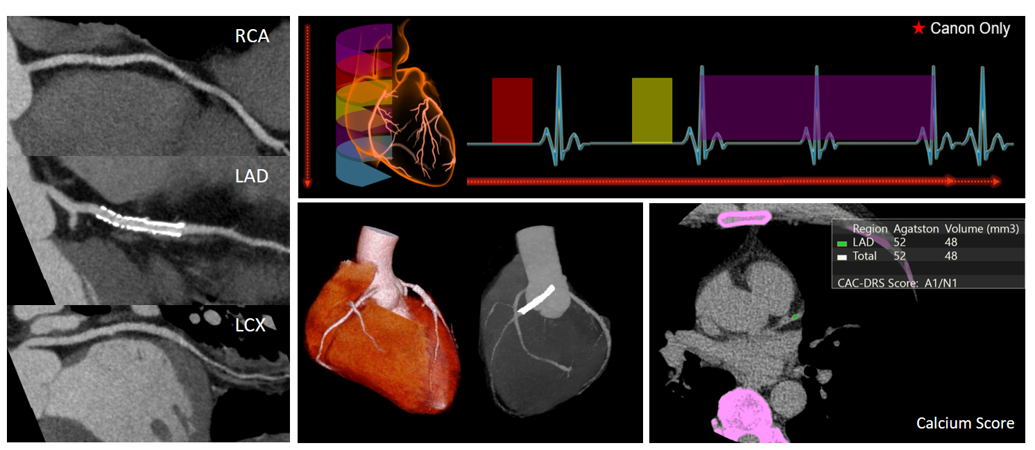스크린샷 2026-02-11 163757.png