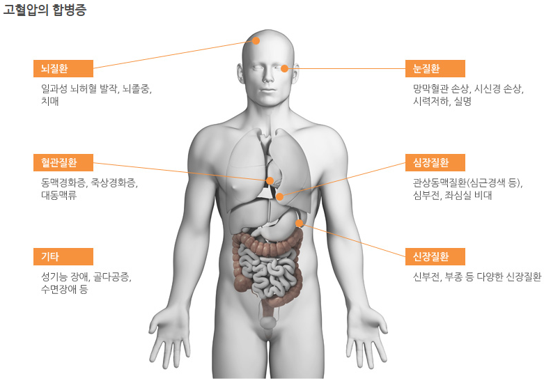 스크린샷 2026-01-30 113517.png